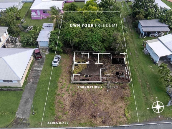 512-strawberry_saint-croix-vi