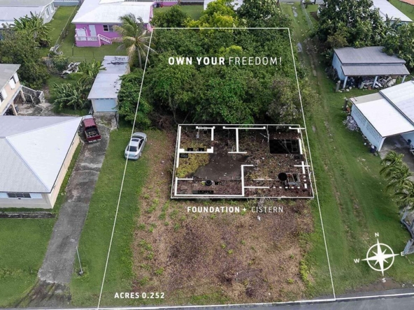 512-strawberry_saint-croix-vi