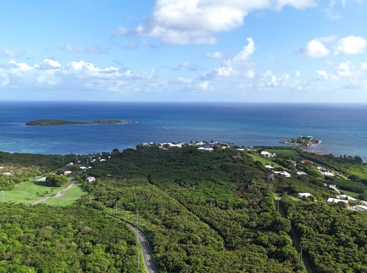 Green Cay 4