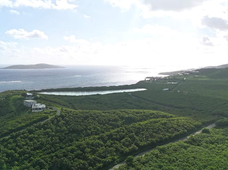 Green Cay 6