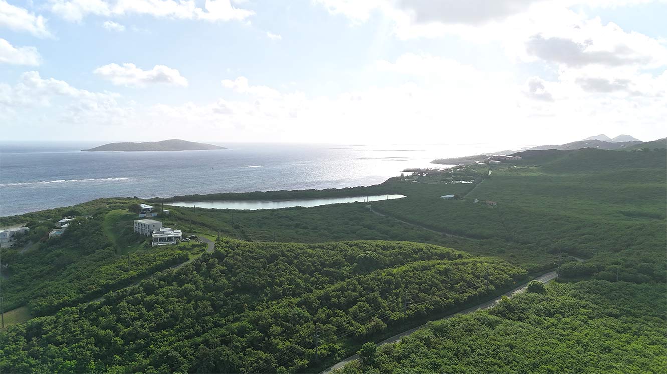 Green Cay 6