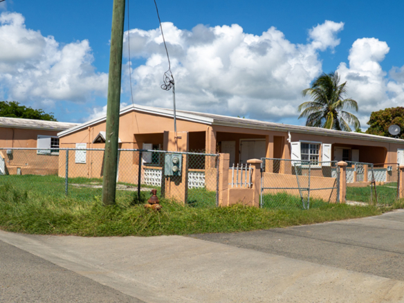 726-williams-delight