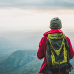 Life's Journey