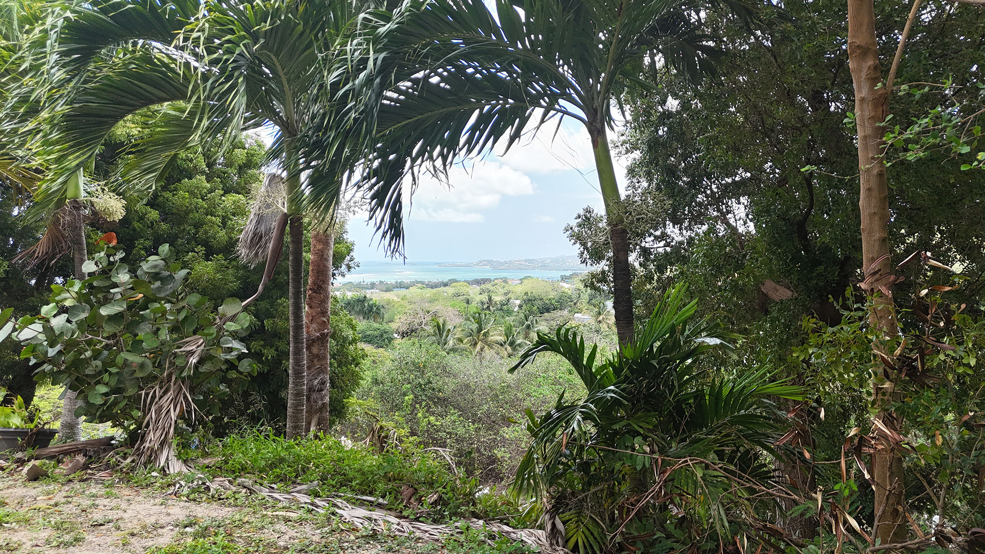 La grand princesse (4 of 5)